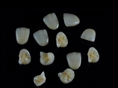 Tojlar uchun eng yaxshi tish elimini qanday tanlash mumkin: so'nggi qo'llanma