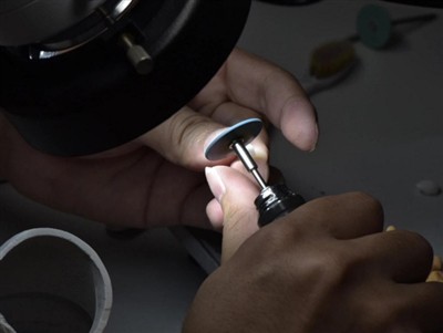 PFM tojlari qancha davom etadi? O'rtacha umr ko'rish, omillar va parvarish bo...